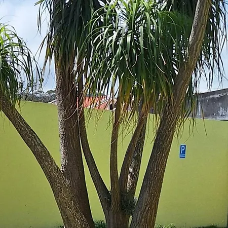 Garden House 2